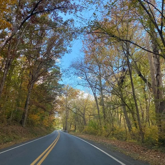 $3 SHiPPiNG LABEL 😎 - Picture 1 of 1